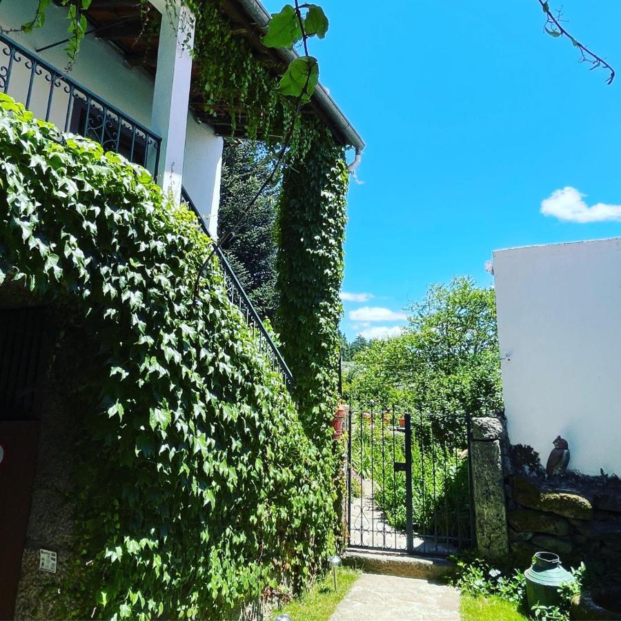 Casa Do Beco B&B Douro - Guest House Parambos 외부 사진