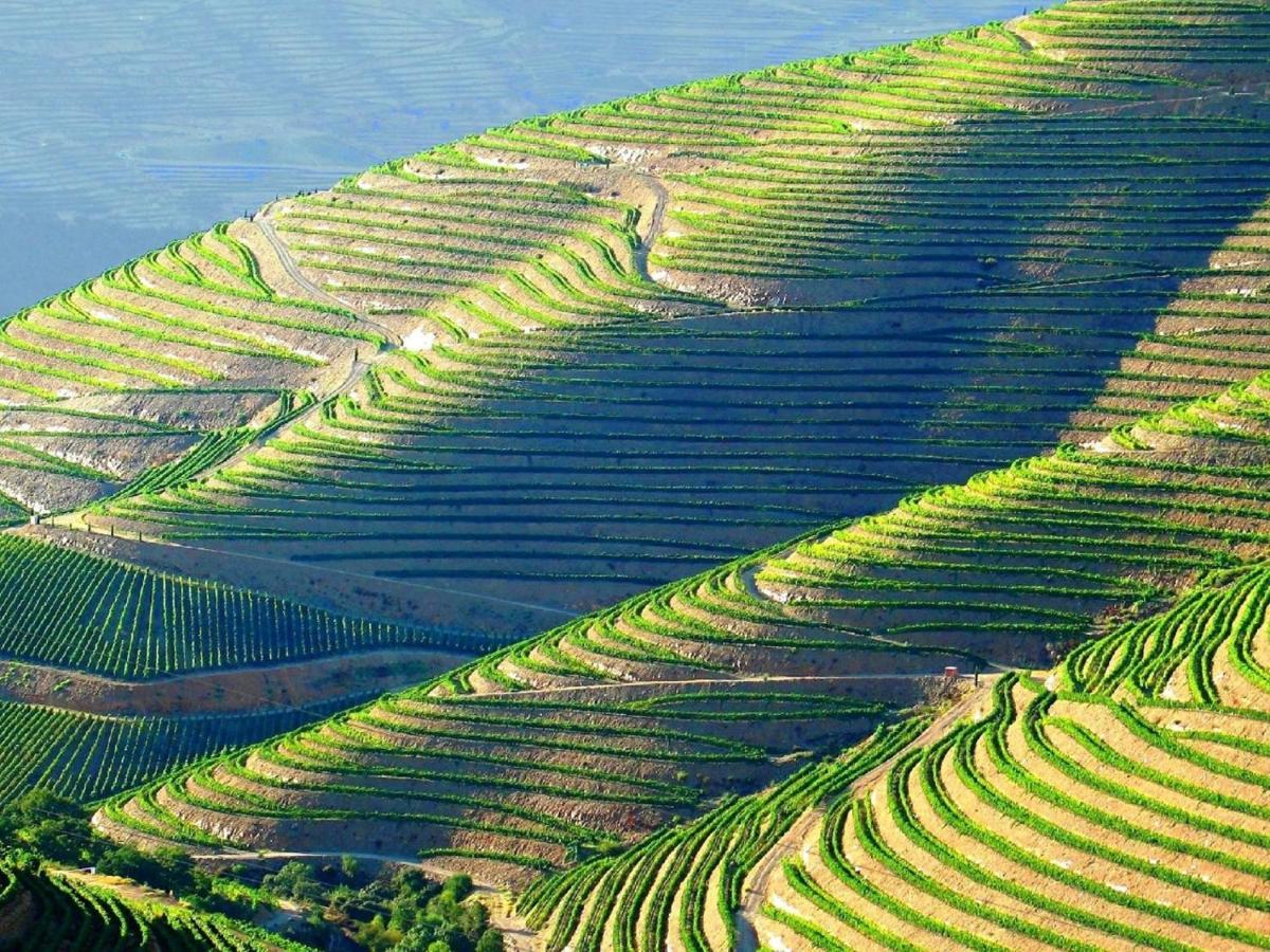 Casa Do Beco B&B Douro - Guest House Parambos 외부 사진